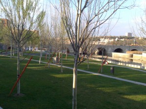 Zona verde junto al parque de piedras de Madrid Río.